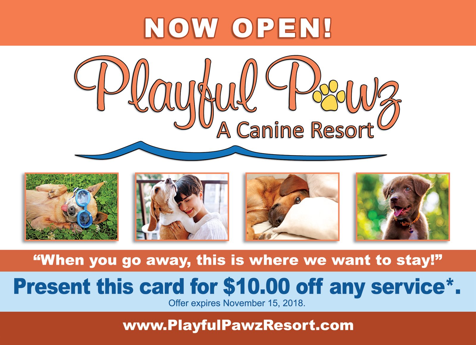 Playful Pawz oversize postcard