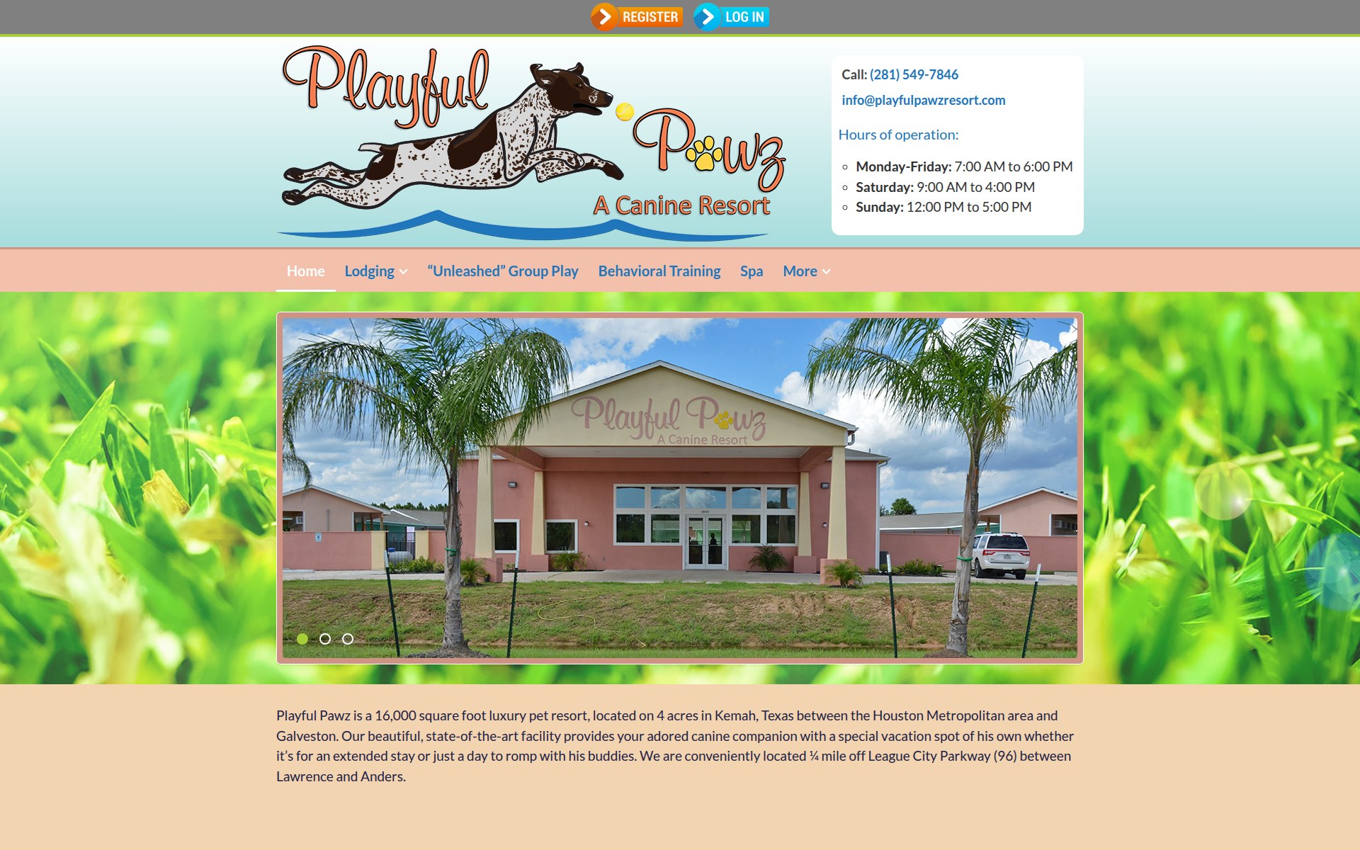 Playful Pawz website